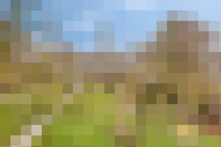 Krijtenburg 18 A Veghel thumbnail 57