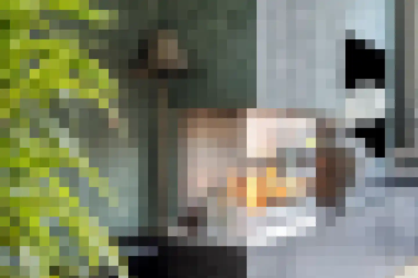 Krijterslaan 23 Zwaag thumbnail 17