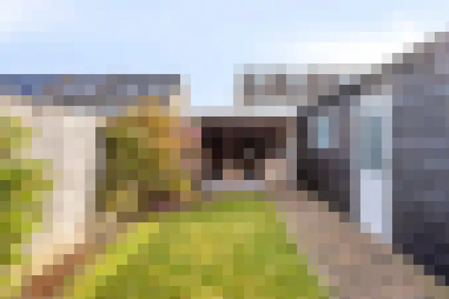 Krijterslaan 23 Zwaag thumbnail 48