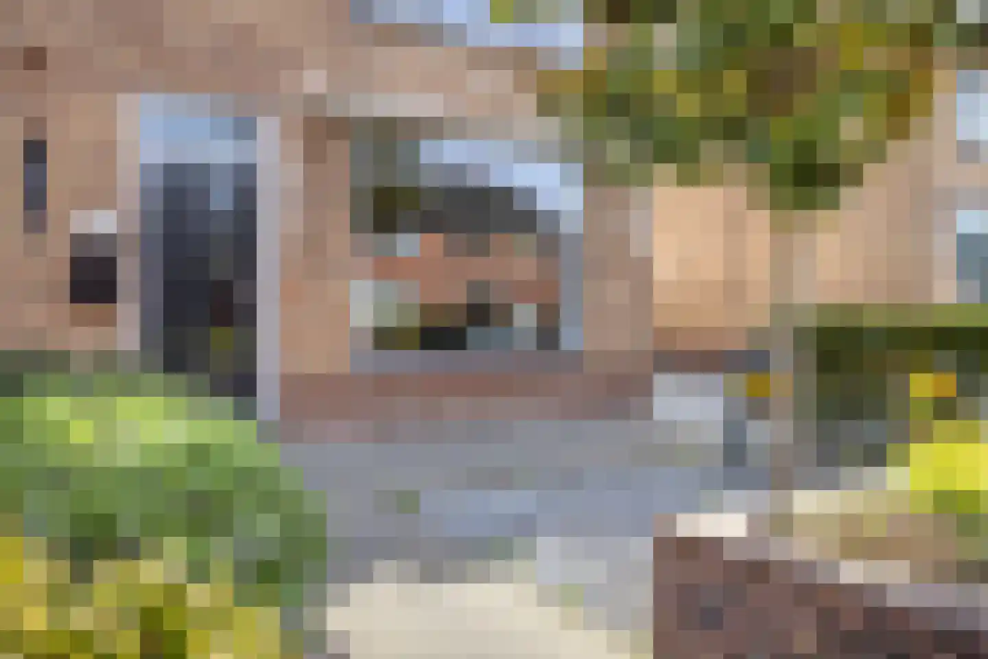 Krijterslaan 23 Zwaag thumbnail 58