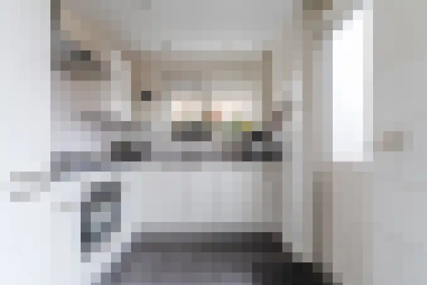 Krijterslaan 30 Zwaag thumbnail 9