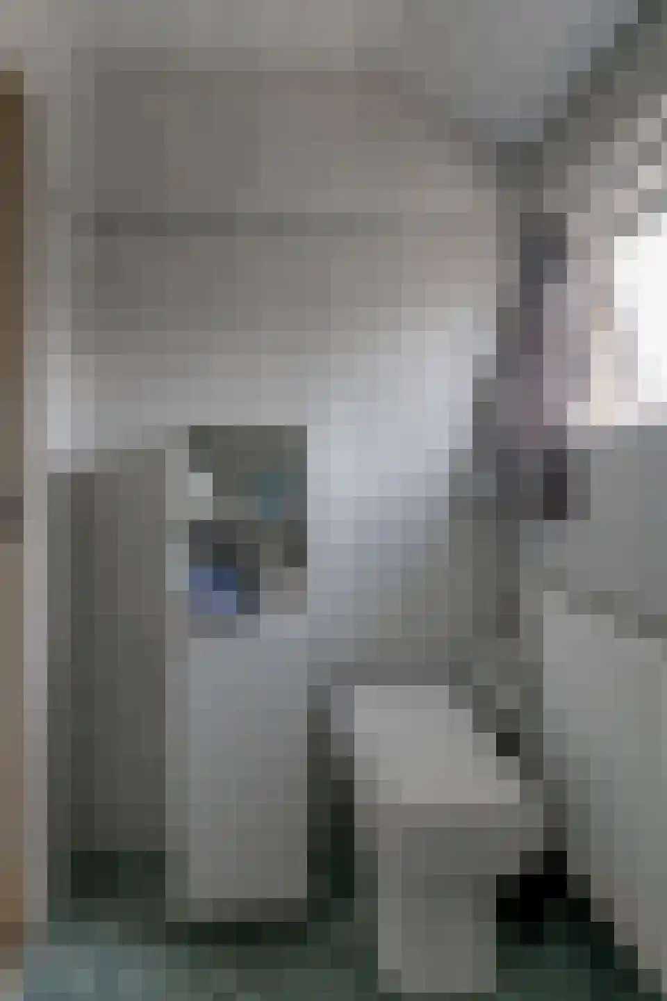 Krijterslaan 31 Zwaag thumbnail 47