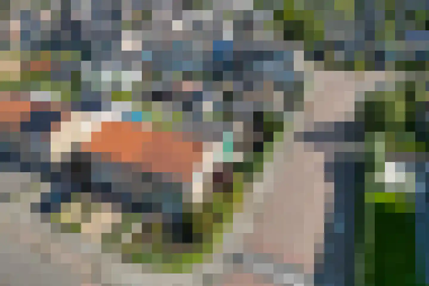 Krijterslaan 31 Zwaag thumbnail 60