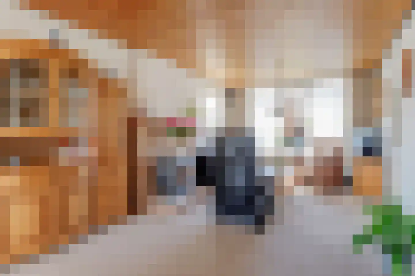 Krijterslaan 31 Zwaag thumbnail 9