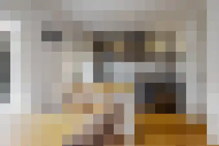Krijterslaan 50 Zwaag thumbnail 10