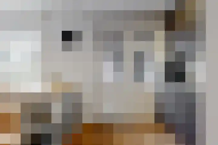 Krijterslaan 50 Zwaag thumbnail 13