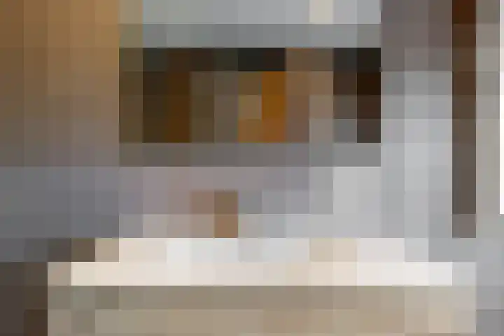 Krijterslaan 50 Zwaag thumbnail 18