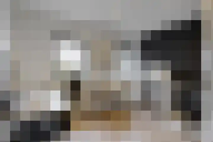 Krijterslaan 50 Zwaag thumbnail 23
