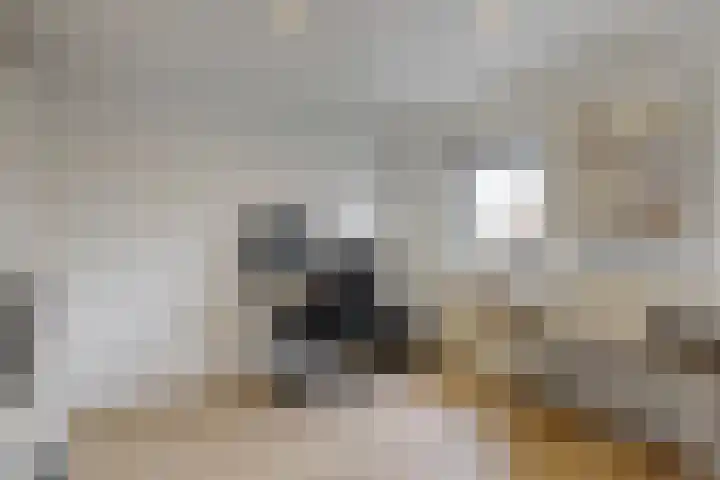 Krijterslaan 50 Zwaag thumbnail 24