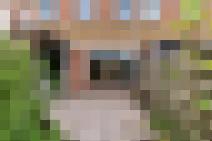 Krijterslaan 50 Zwaag thumbnail 27