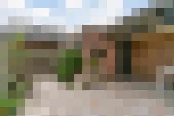 Krijterslaan 50 Zwaag thumbnail 31