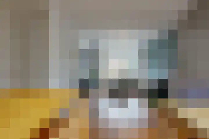 Krijterslaan 50 Zwaag thumbnail 7