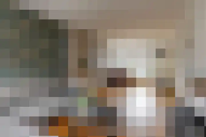 Krijterslaan 50 Zwaag thumbnail 8