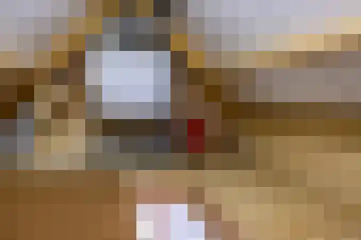 Krijtestraat 2 A Moergestel thumbnail 29