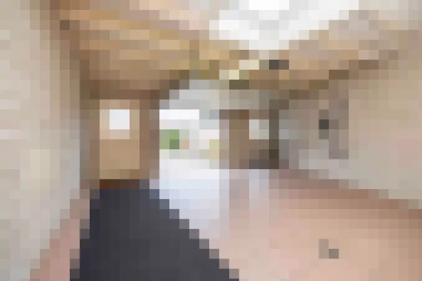 Krijtestraat 2 A Moergestel thumbnail 33