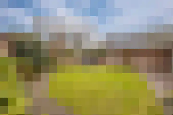 Krijtestraat 2 A Moergestel thumbnail 36