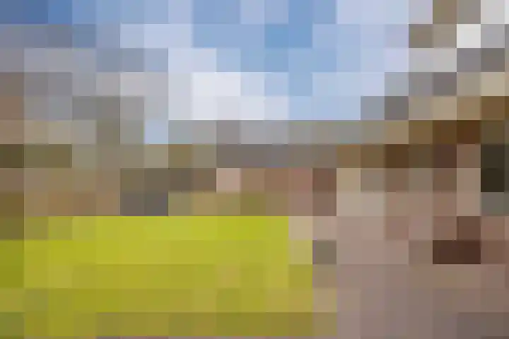 Krijtestraat 2 A Moergestel thumbnail 38