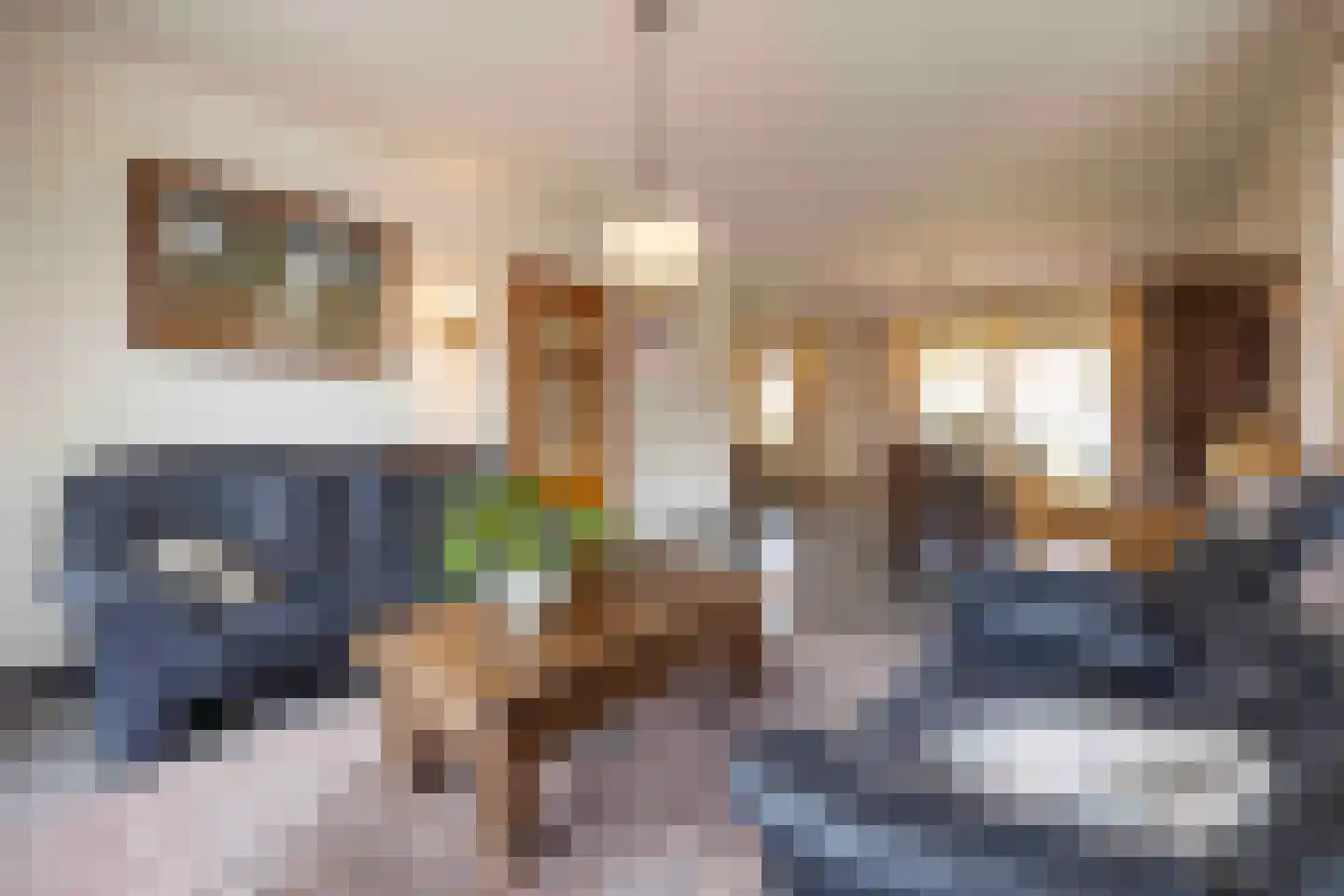 Krijtestraat 2 A Moergestel thumbnail 4