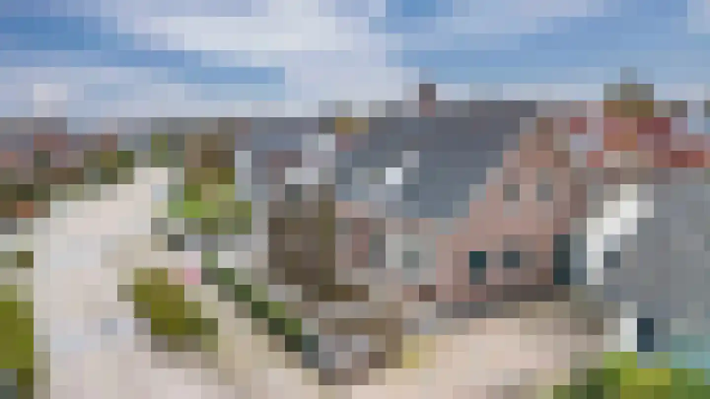 Krijtestraat 2 A Moergestel thumbnail 43