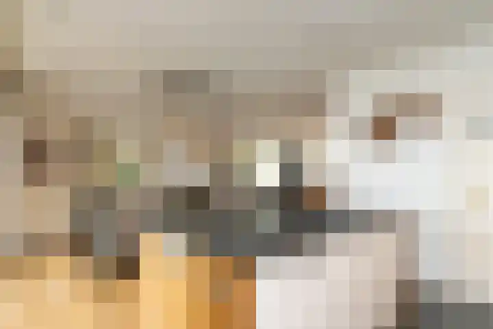 Krijtestraat 3 Moergestel thumbnail 25