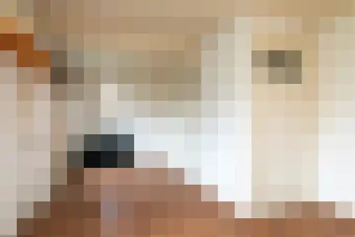Krijtestraat 3 Moergestel thumbnail 33