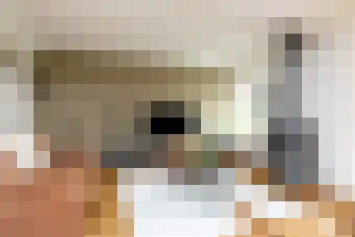 Krijtestraat 3 Moergestel thumbnail 7