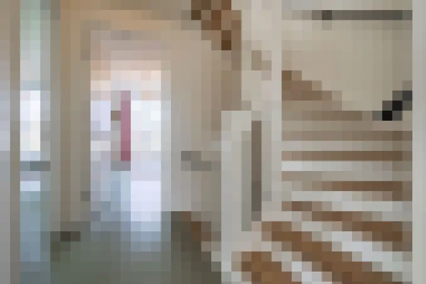 Krijthehof 42 Wageningen thumbnail 27