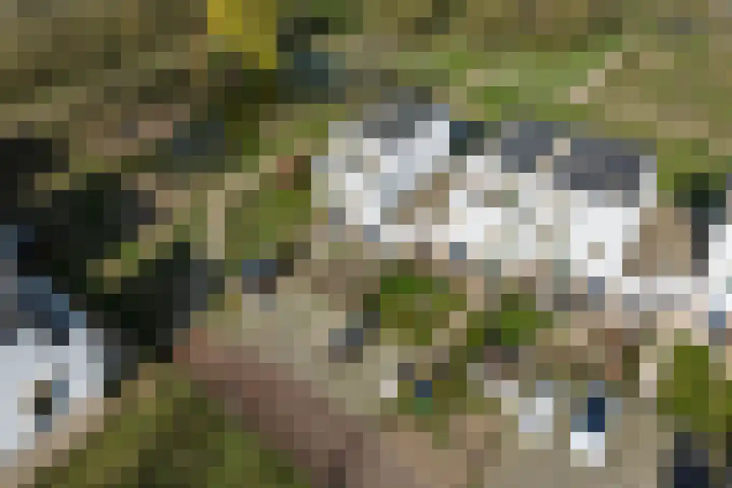 Krijthehof 42 Wageningen thumbnail 41