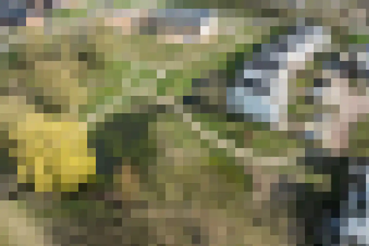 Krijthehof 42 Wageningen thumbnail 42