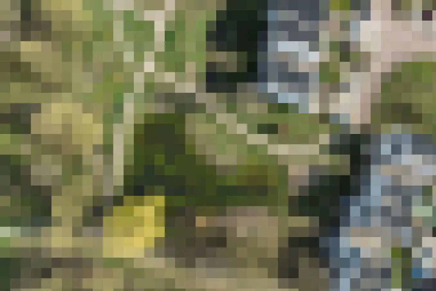 Krijthehof 42 Wageningen thumbnail 43