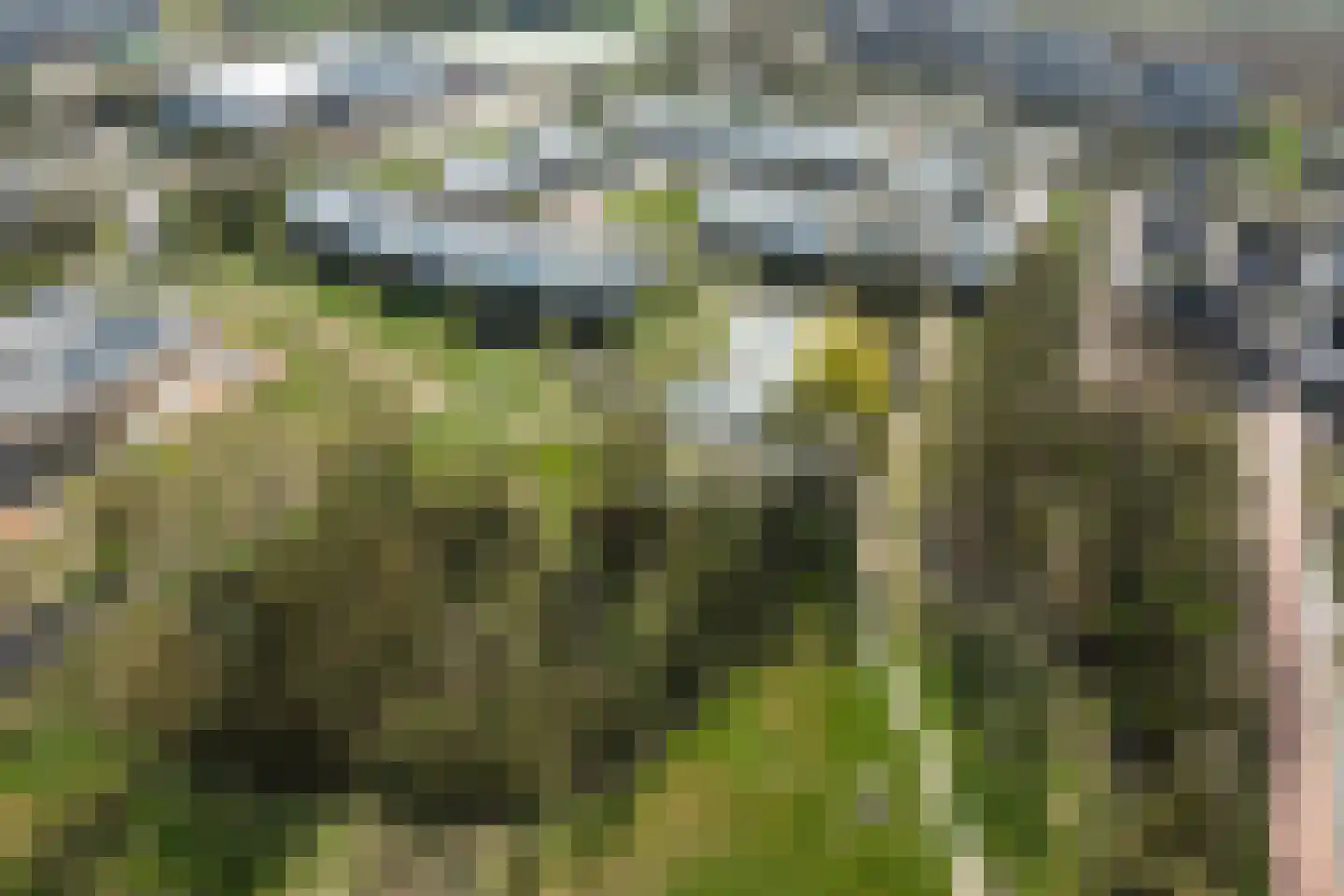 Krijthehof 42 Wageningen thumbnail 44