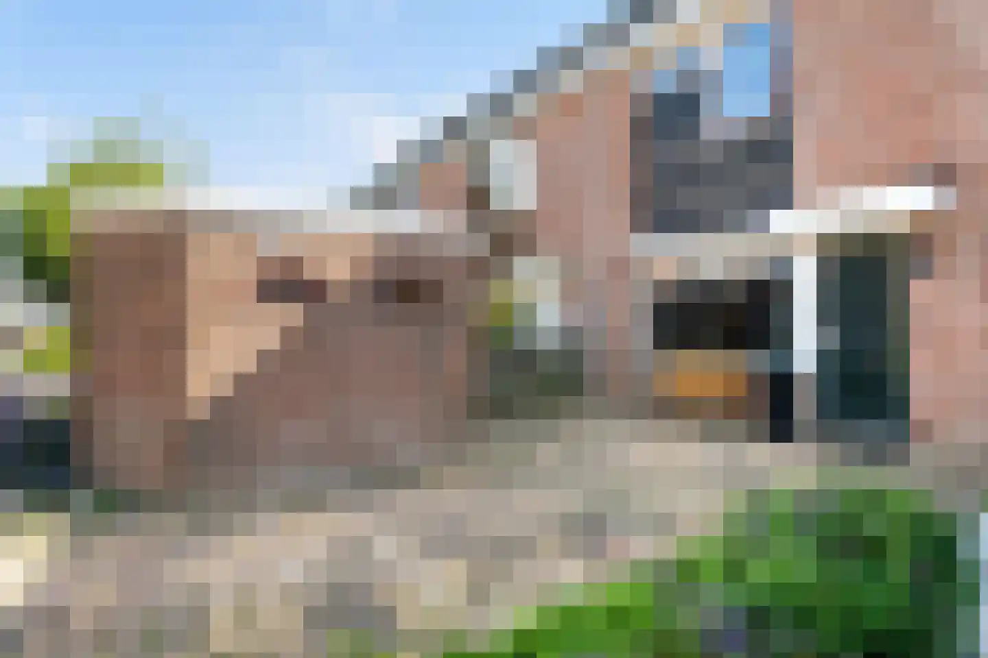 Krijtmolen 13 Heerhugowaard thumbnail 10
