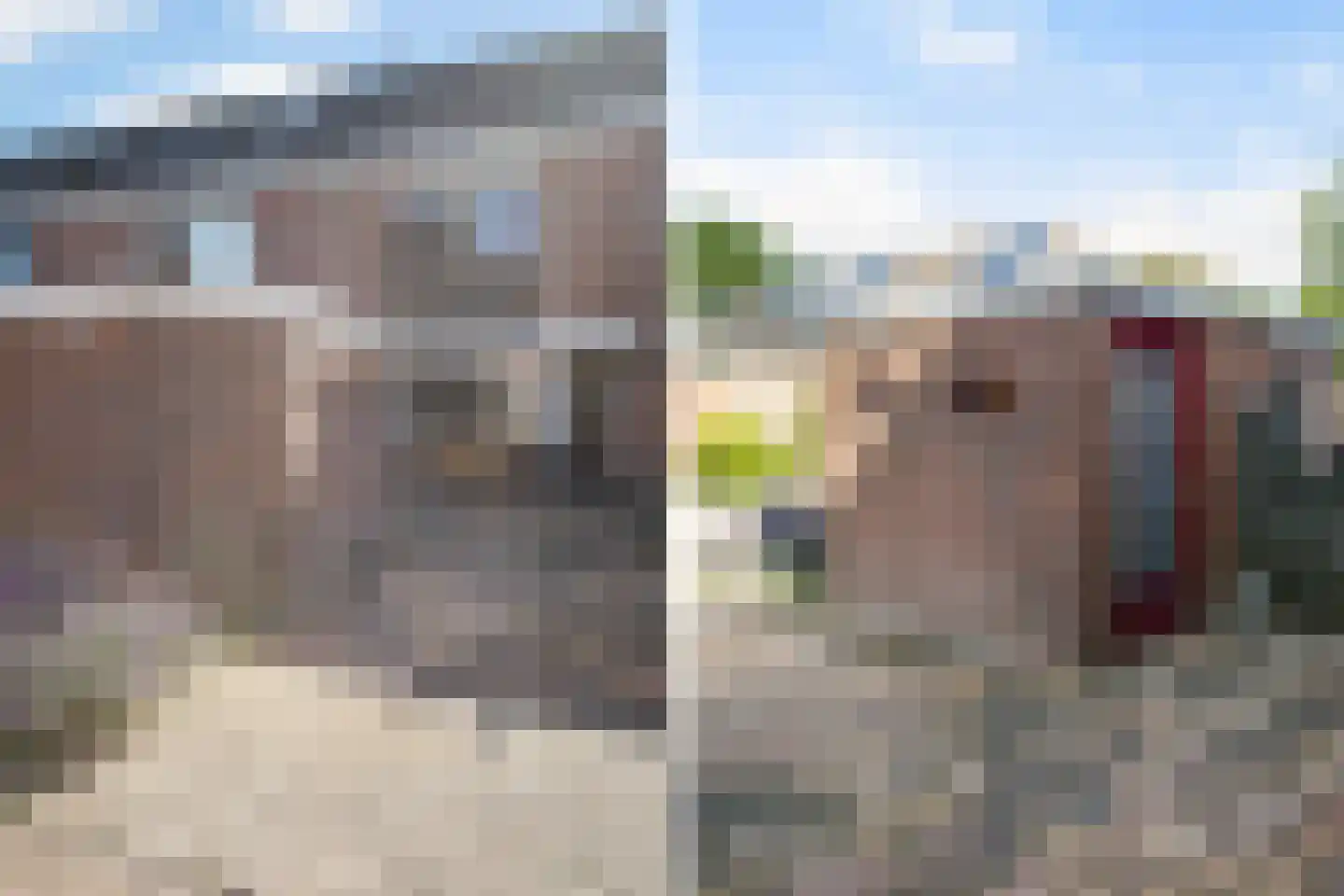 Krijtmolen 13 Heerhugowaard thumbnail 9