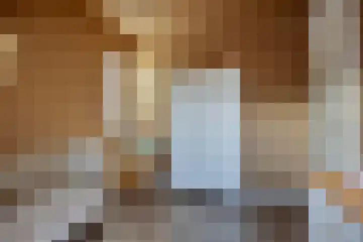 Krijtmolen 15 Heerhugowaard thumbnail 16