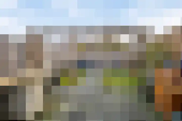 Krijtmolen 15 Heerhugowaard thumbnail 27