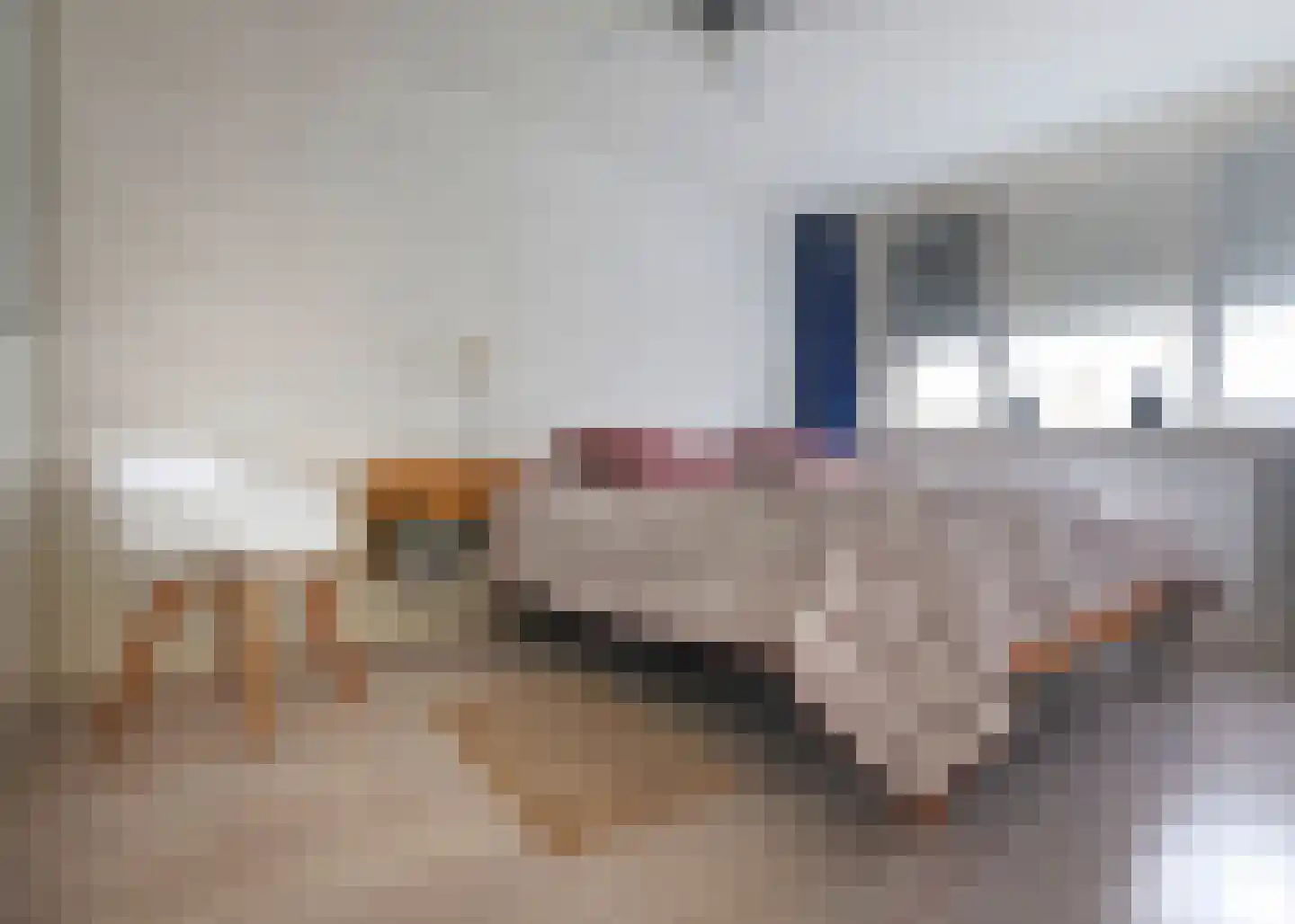 Krijtmolen 2 Heerhugowaard thumbnail 18