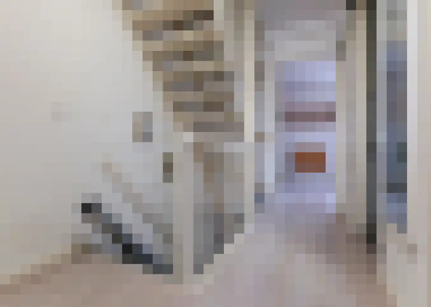 Krijtmolen 2 Heerhugowaard thumbnail 20