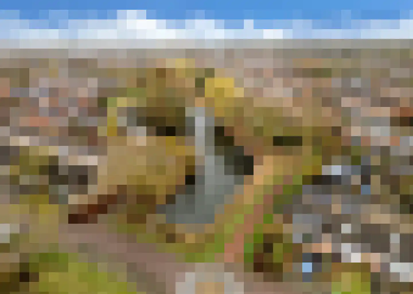 Krijtmolen 2 Heerhugowaard thumbnail 29