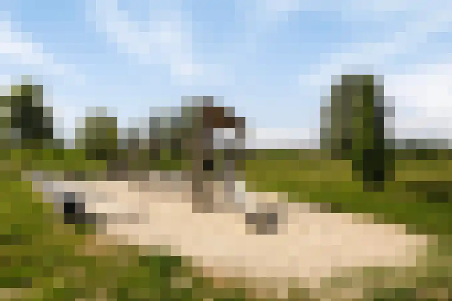 Krijtmolen 51 Zwolle thumbnail 33