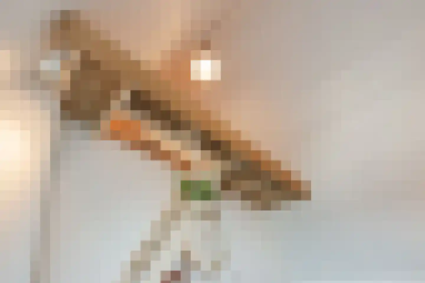 Krijtmolen 7 Zwolle thumbnail 37