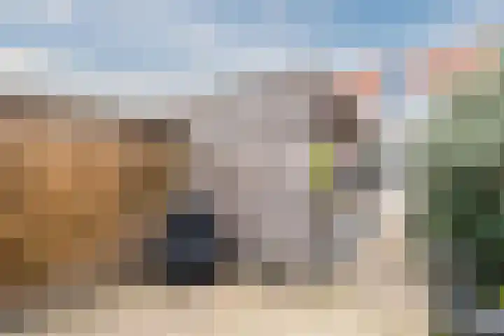 Krijtmolen 9 Heerhugowaard thumbnail 34
