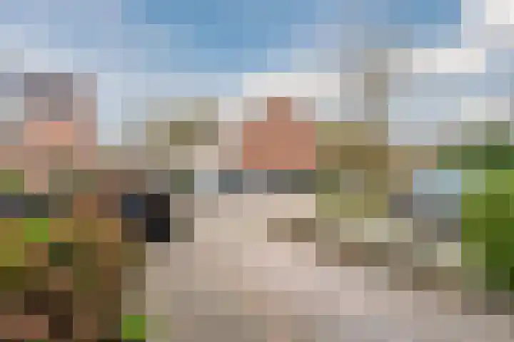 Krijtmolen 9 Heerhugowaard thumbnail 40