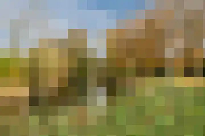 Krijtmolen 9 Heerhugowaard thumbnail 41