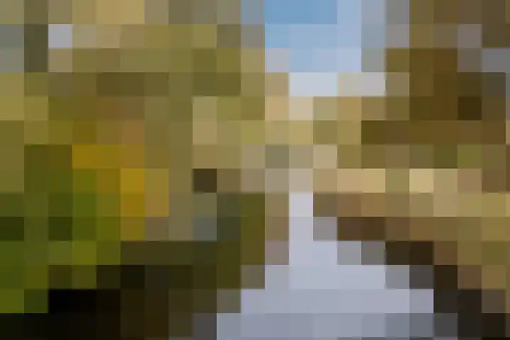 Krijtmolen 9 Heerhugowaard thumbnail 42