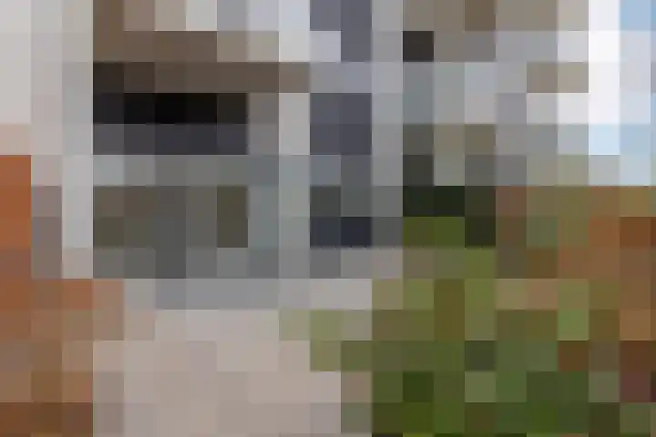 Krijtwal 17 1 Nieuwegein thumbnail 19