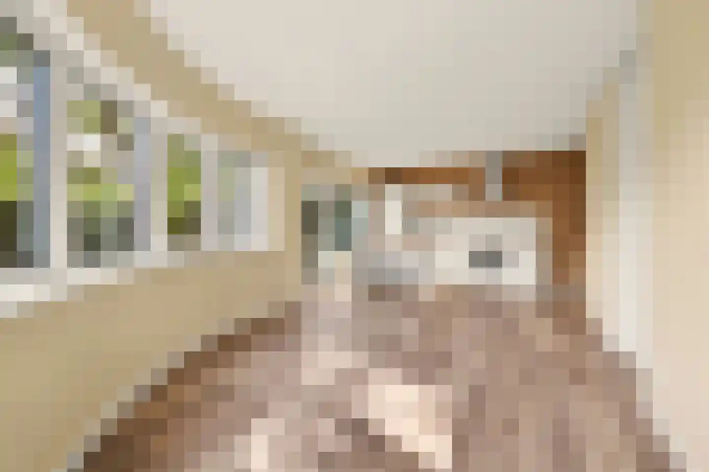 Krijtwal 17 3 Nieuwegein thumbnail 14