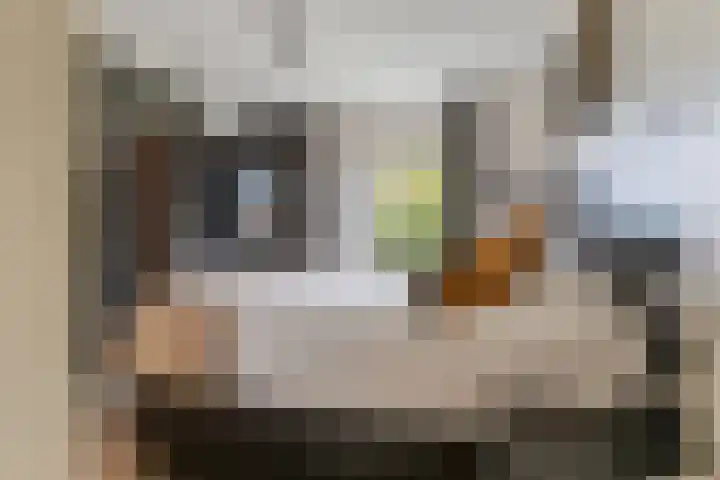 Krijtwal 33 17 Nieuwegein thumbnail 4