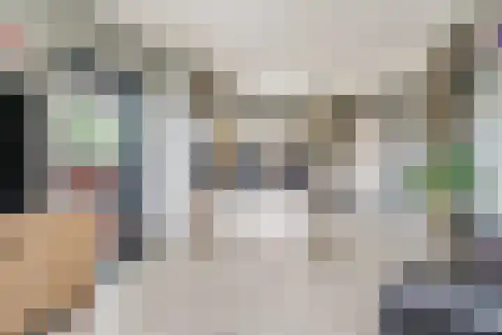 Krijtwal 33 17 Nieuwegein thumbnail 8