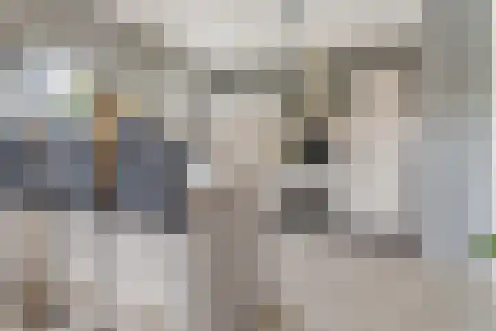 Krijtwal 33 17 Nieuwegein thumbnail 9