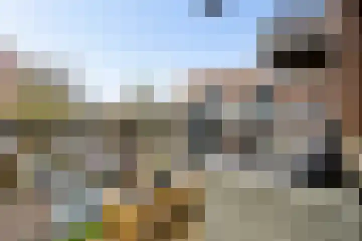 Krijtwal 33 21 Nieuwegein thumbnail 12
